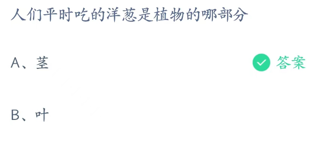 蚂蚁庄园2月11日：人们平时吃的洋葱是植物的哪部分