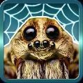 蜘蛛大乱斗(SpiderBattles v1.5.4