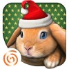 PetWorld3D下载 v1.67