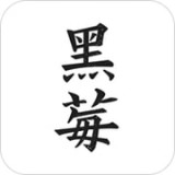 黑莓小说 v1.2.2.4