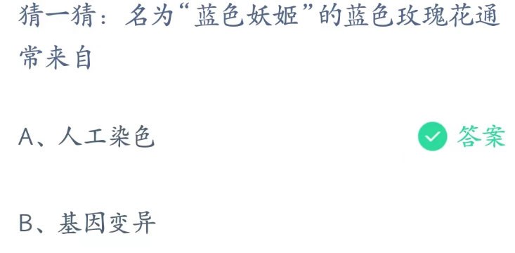 蚂蚁庄园3月11日：名为蓝色妖姬的蓝色玫瑰花通常来自