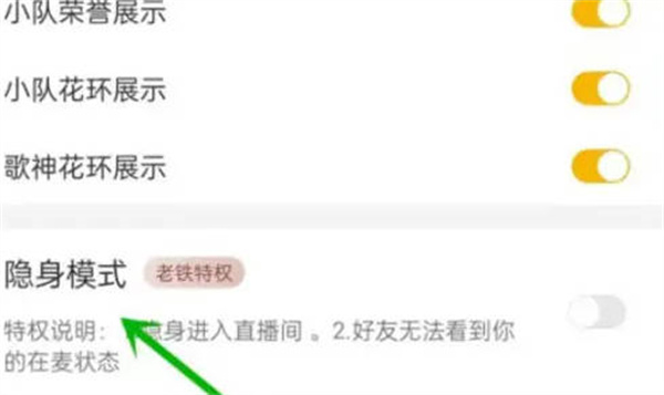 伊对怎么设置隐身模式