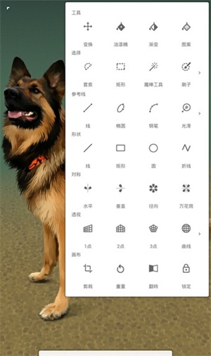 painter最新版 V7.0.31