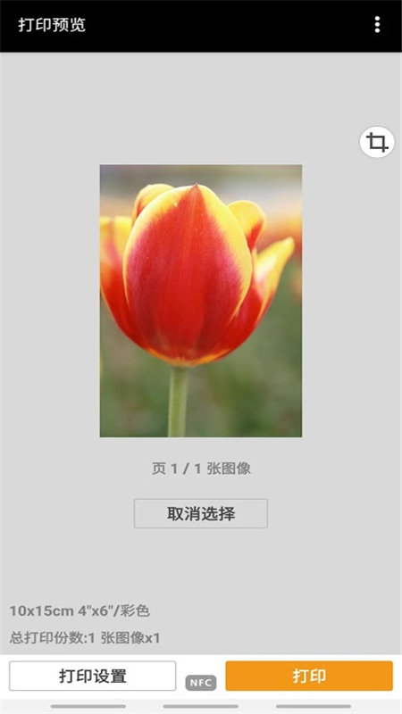 佳能打印app V2.10.0