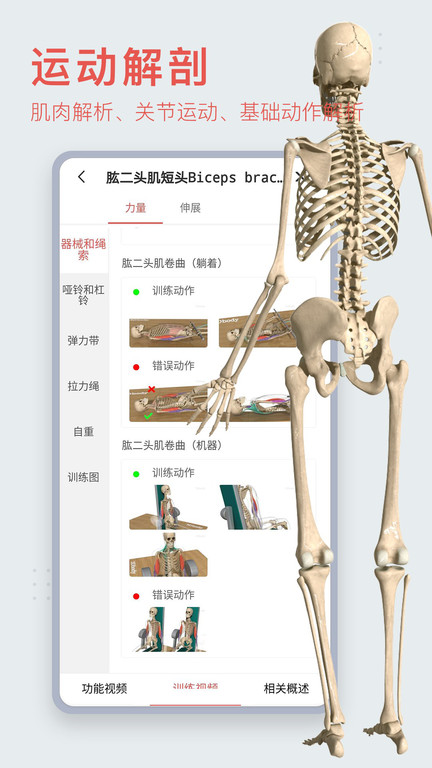 3dbody解剖图手机 V8.7.22