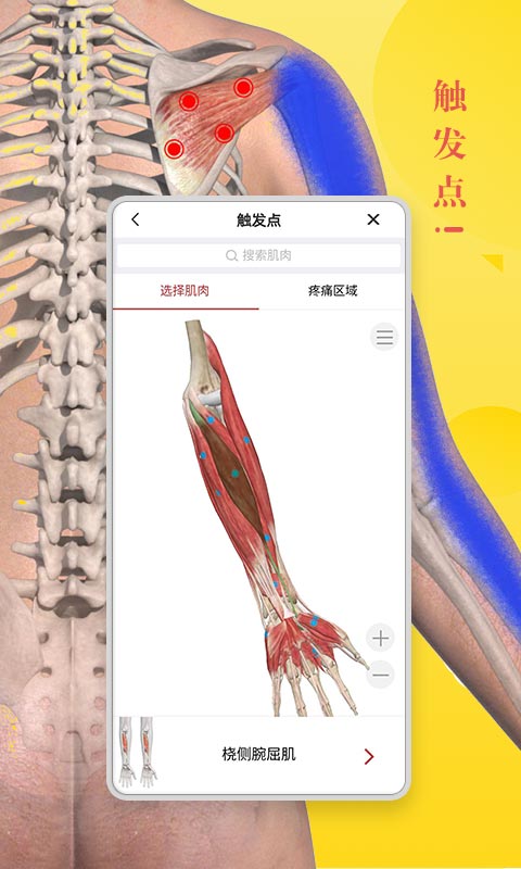 3dbody解剖图手机 V8.7.22