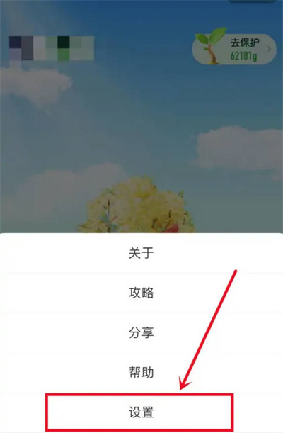 支付宝蚂蚁森林太卡了怎么办