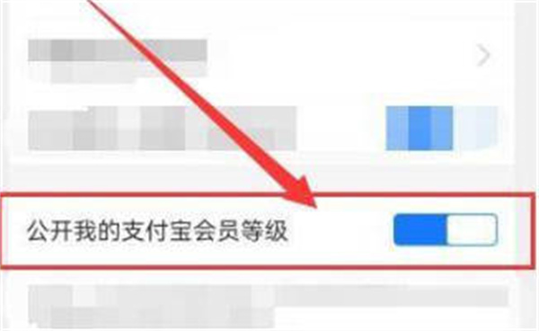 支付宝如何隐藏自己的会员等级